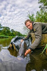 Karpervissen in Flevolandse kanalen: tips, hotspots en technieken van een kanaalexpert