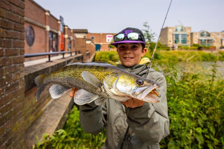 Wat is mid-strolling en waarom is het zo effectief voor roofvis?