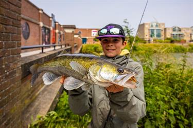 Wat is mid-strolling en waarom is het zo effectief voor roofvis?